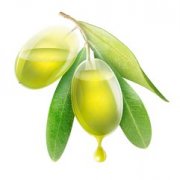 橄榄油营养价值与作用