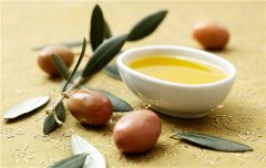 <b>怎么吃橄榄油可以带来健康</b>